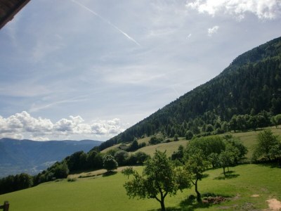 Holiday apartment Adlerhorst - Environment photo 15