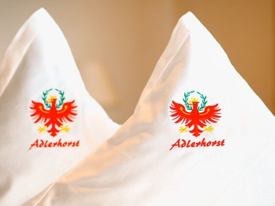 Holiday apartment Adlerhorst - Document photo 18