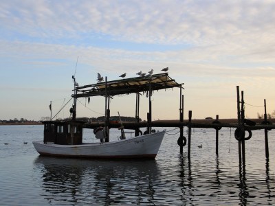 Holiday apartment 1 - Eilrich - Environment photo 15