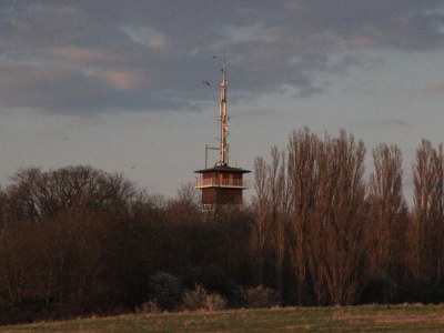 Holiday apartment 1 - Eilrich - Environment photo 19