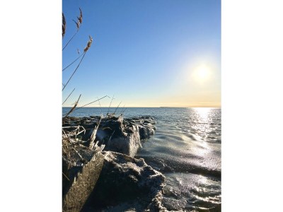 Holiday apartment 1 - Eilrich - Environment photo 22