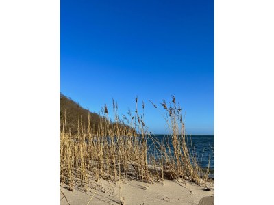 Holiday apartment 1 - Eilrich - Environment photo 23