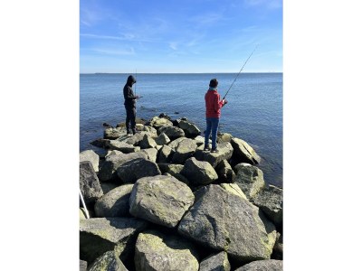 Holiday apartment 1 - Eilrich - Environment photo 25