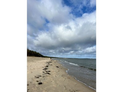 Holiday apartment 1 - Eilrich - Environment photo 26