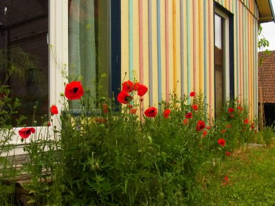 Holiday house LaWendla - Outdoor photo 5