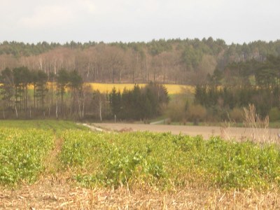 Holiday house LaWendla - Environment photo 17