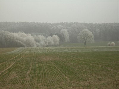 Holiday house LaWendla - Environment photo 18