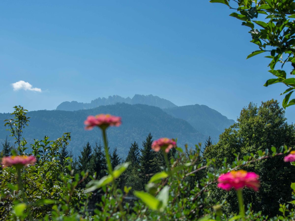 Apartment Waldhof - Outdoor photo 4