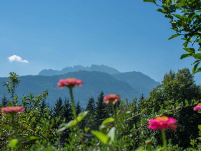 Apartment Waldhof - Outdoor photo 4