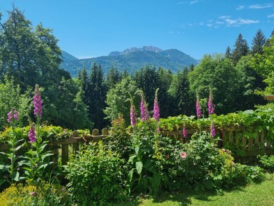 Apartment Waldhof - Outdoor photo 7