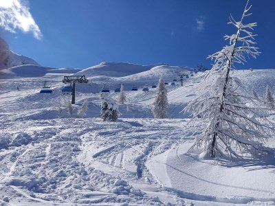 Apartment Waldhof - Outdoor photo 9