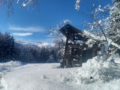 Apartment Waldhof - Outdoor photo 10