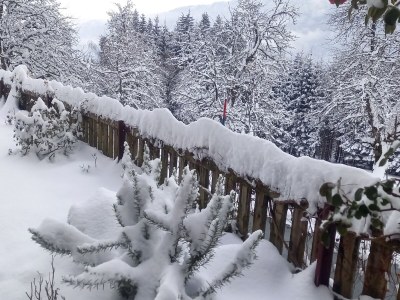 Apartment Waldhof - Outdoor photo 11