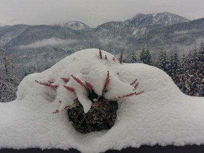 Apartment Waldhof - Outdoor photo 14