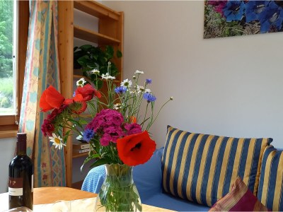 Apartment Waldhof - Features photo 17