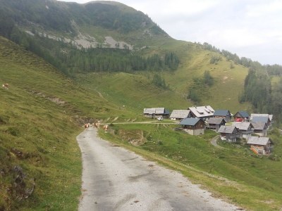 Apartment Waldhof - Environment photo 30