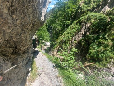 Apartment Waldhof - Environment photo 33