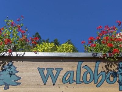 Apartment Waldhof - Document photo 41