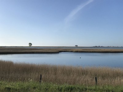 Holiday house Strandgut Wackerballig - Outdoor photo 4
