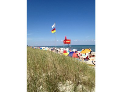 Holiday house Strandgut Wackerballig - Environment photo 15