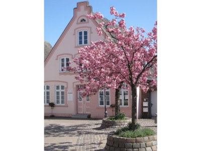 Holiday house Strandgut Wackerballig - Environment photo 19