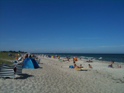 Holiday house Strandgut Wackerballig - Environment photo 20