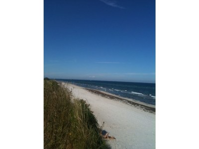 Holiday house Strandgut Wackerballig - Environment photo 22