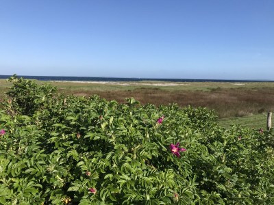 Holiday house Strandgut Wackerballig - Environment photo 25