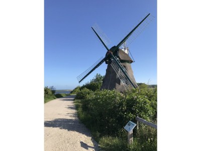 Holiday house Strandgut Wackerballig - Environment photo 28