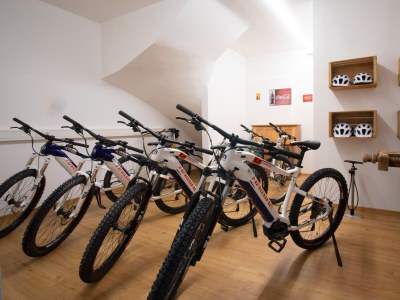 Holiday apartment Panorama - Residence UntermÃ¶sslhof - Outdoor photo 13