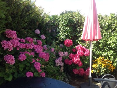 Holiday house The Seahorse - Outdoor photo 10