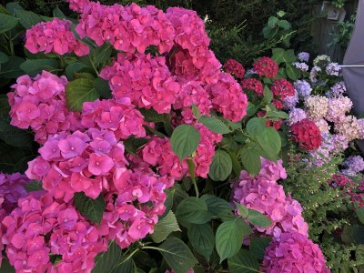 Holiday house The Seahorse - Outdoor photo 12