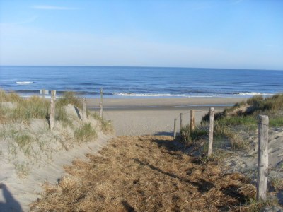 Holiday house The Seahorse - Environment photo 26
