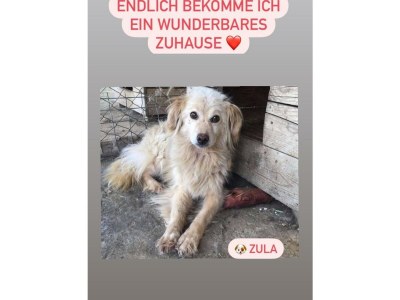 Holiday house The Seahorse - Environment photo 28