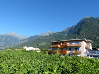 Holiday apartment Garden Holiday Apartment - Weinmesserhof in Meran - Holiday apartment
