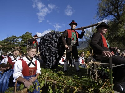 Holiday apartment Garden Holiday Apartment - Weinmesserhof - Environment photo 14