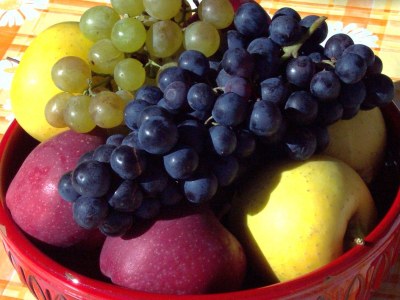 Holiday apartment Garden Holiday Apartment - Weinmesserhof - Environment photo 15