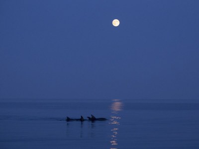 Holiday house Casa Verde - Environment photo 22