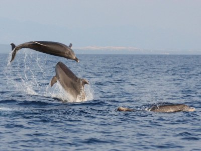 Apartment Ady 3 - Environment photo 18