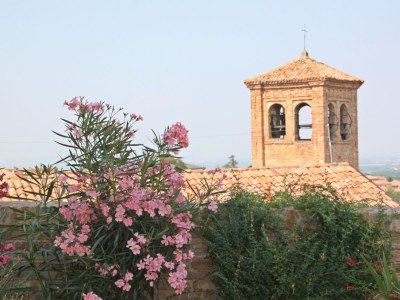 Holiday apartment Cortese in the Villa Pesce - Outdoor photo 4