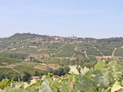 Holiday apartment Cortese in the Villa Pesce - Environment photo 13