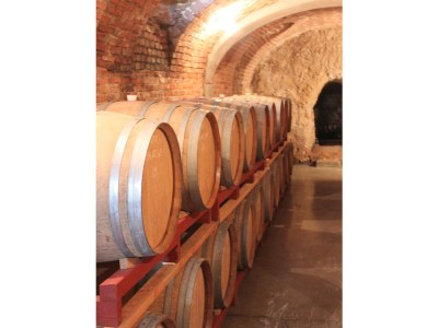 Holiday apartment Cortese in the Villa Pesce - Environment photo 14