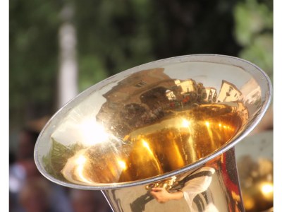 Holiday apartment Cortese in the Villa Pesce - Environment photo 17