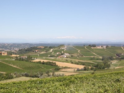 Holiday apartment Cortese in the Villa Pesce - Environment photo 20