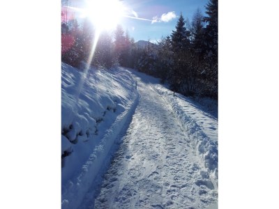 Holiday apartment Haas Holiday Home - Environment photo 22