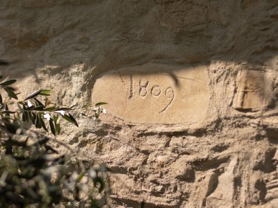Holiday apartment Olive Mill Rivaro - Outdoor photo 10