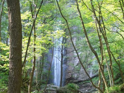 Holiday apartment Olive Mill Rivaro - Environment photo 32