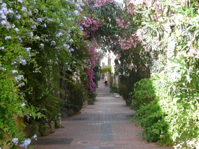 Holiday apartment La Fontonne - Environment photo 10