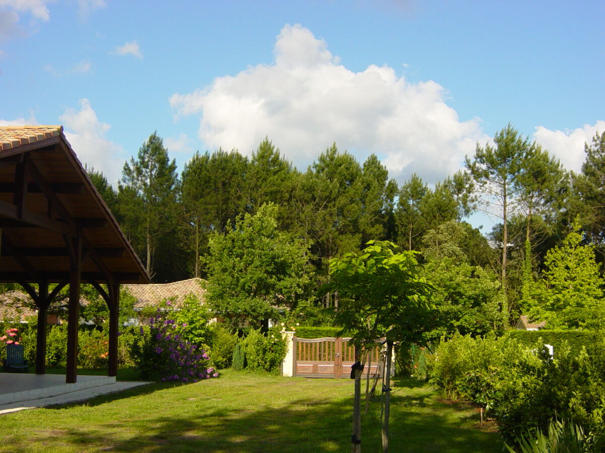 Holiday house Edelweiss - Outdoor photo 4