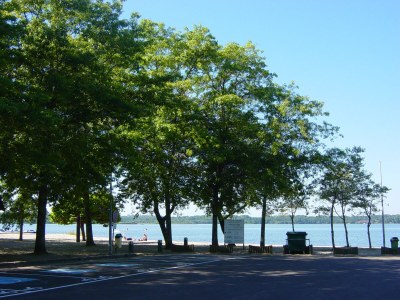 Holiday house Edelweiss - Environment photo 19